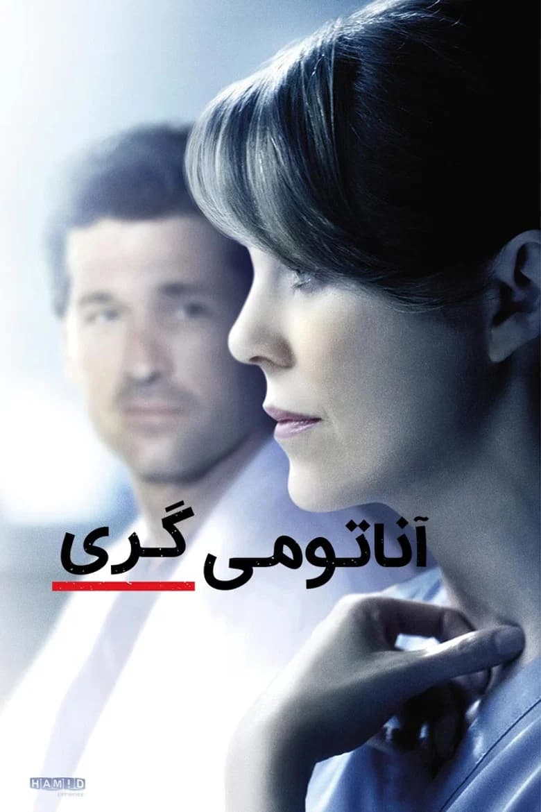 پوستر کالبدشناسی گری