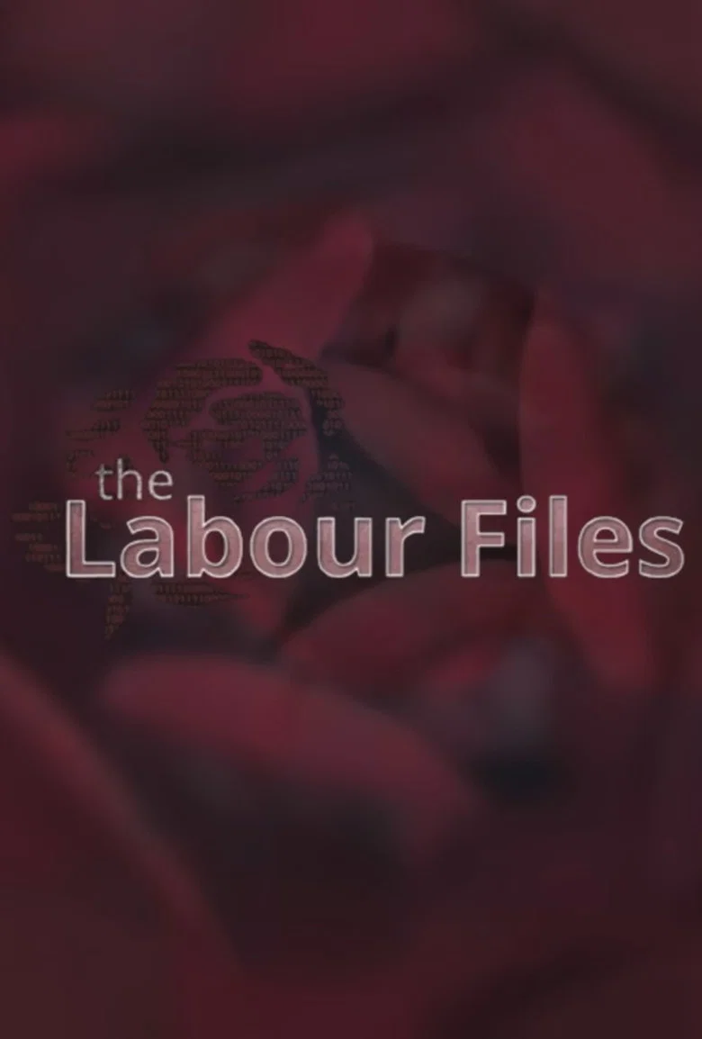 پوستر The Labour Files