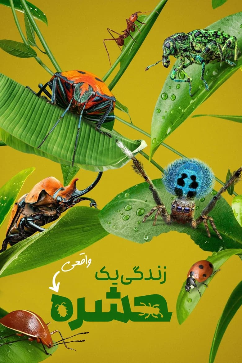 پوستر زندگی واقعی یک حشره
