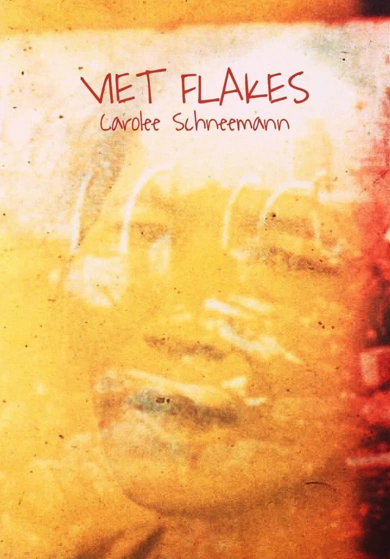 پوستر Viet Flakes