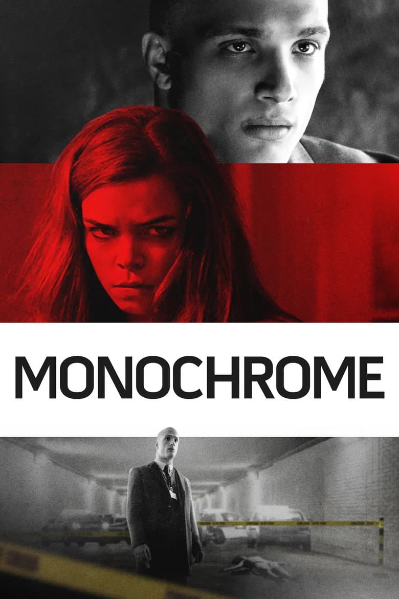 پوستر Monochrome
