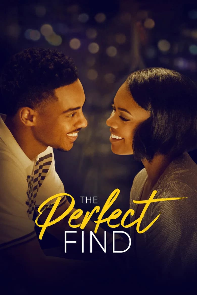 پوستر The Perfect Find