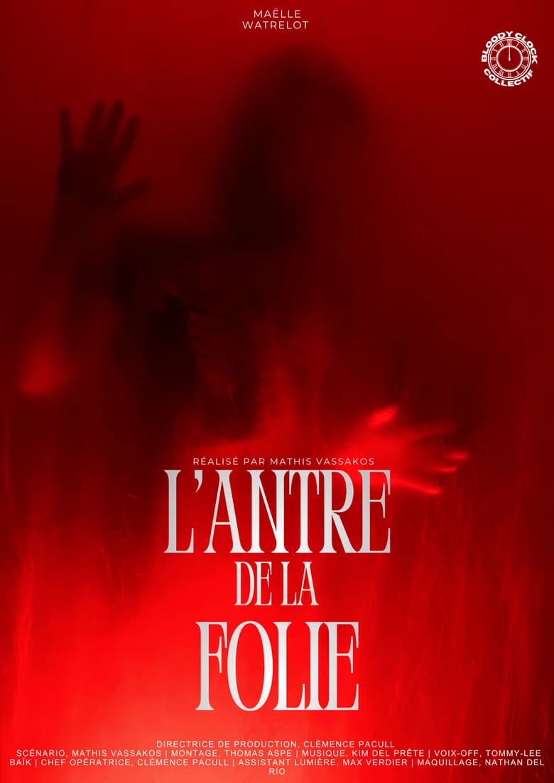 پوستر L'antre de la folie