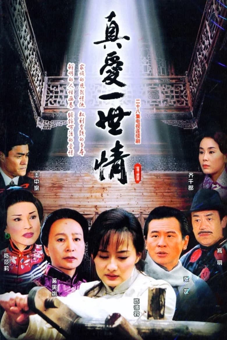 پوستر 真爱一世情