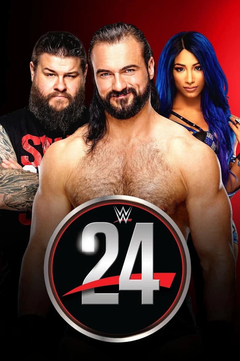 پوستر WWE 24