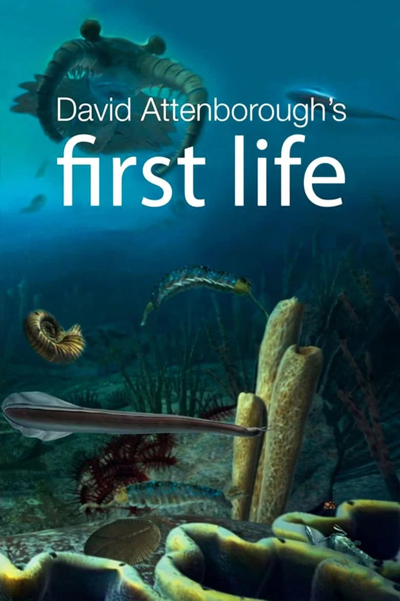 پوستر First Life