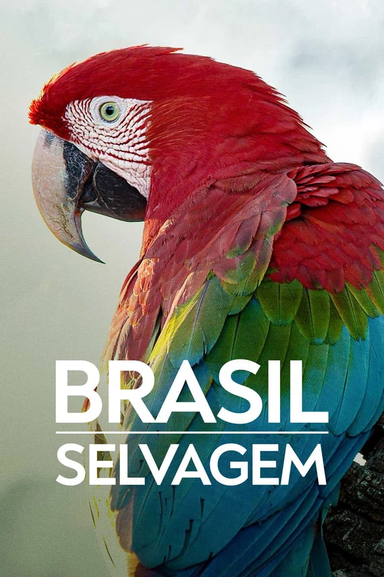پوستر Brazil Untamed