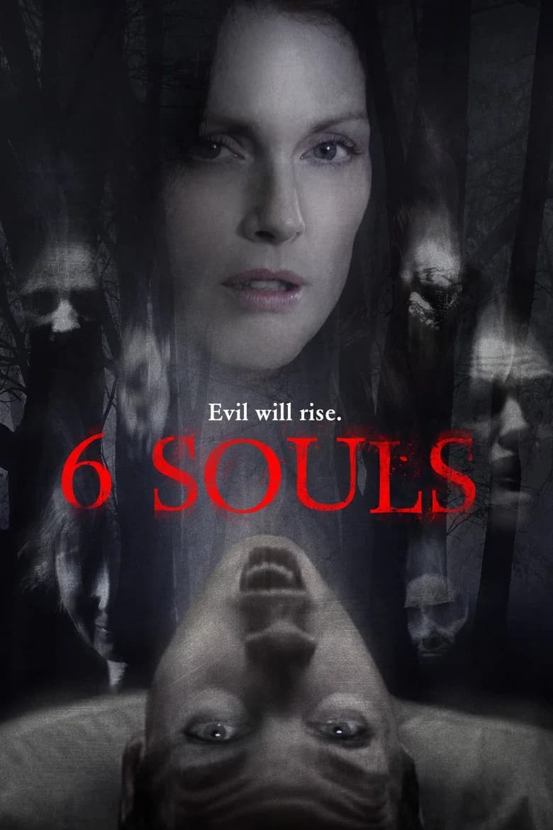 پوستر 6 Souls
